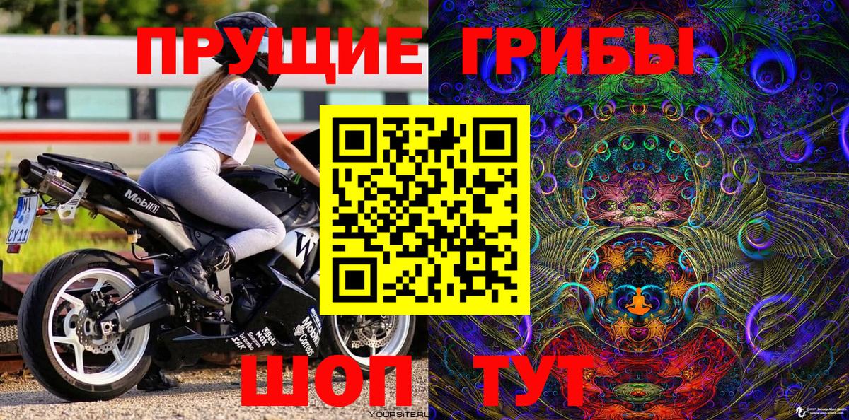Псилоцибиновые грибы Cubensis  Вход с VPN  Самара 